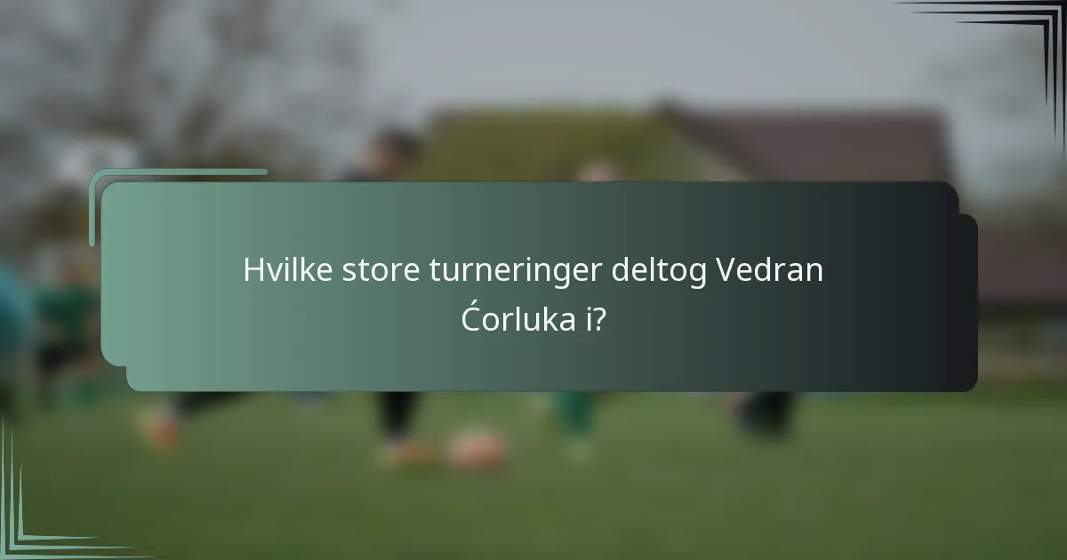 Hvilke store turneringer deltog Vedran Ćorluka i?