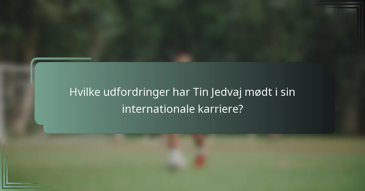Hvilke udfordringer har Tin Jedvaj mødt i sin internationale karriere?