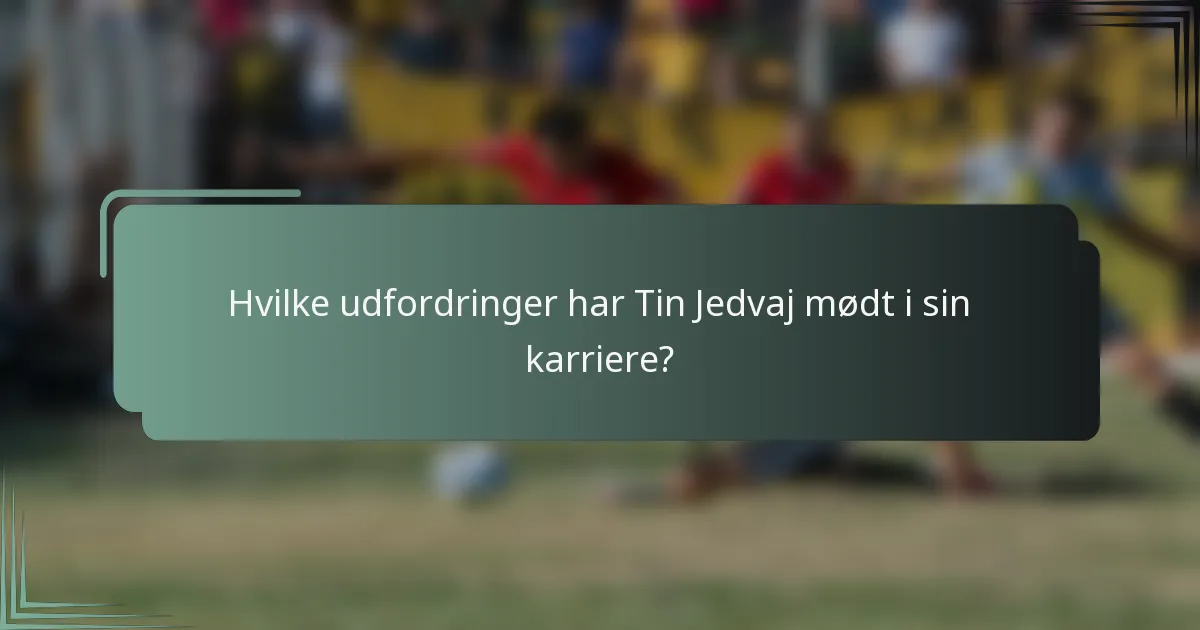 Hvilke udfordringer har Tin Jedvaj mødt i sin karriere?