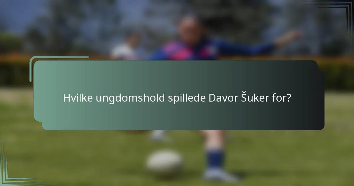 Hvilke ungdomshold spillede Davor Šuker for?